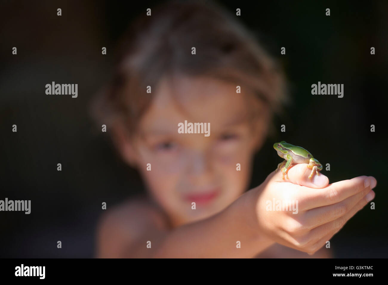 Portrait of boy holding up frog on hand, Buonconvento, Tuscany, Italy Stock Photo