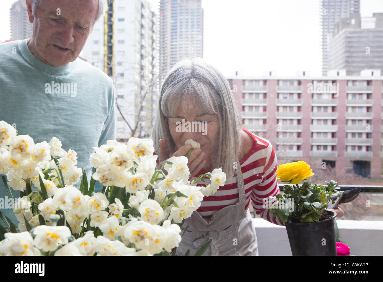 Couple gardening on balcony Stock Photo - Alamy