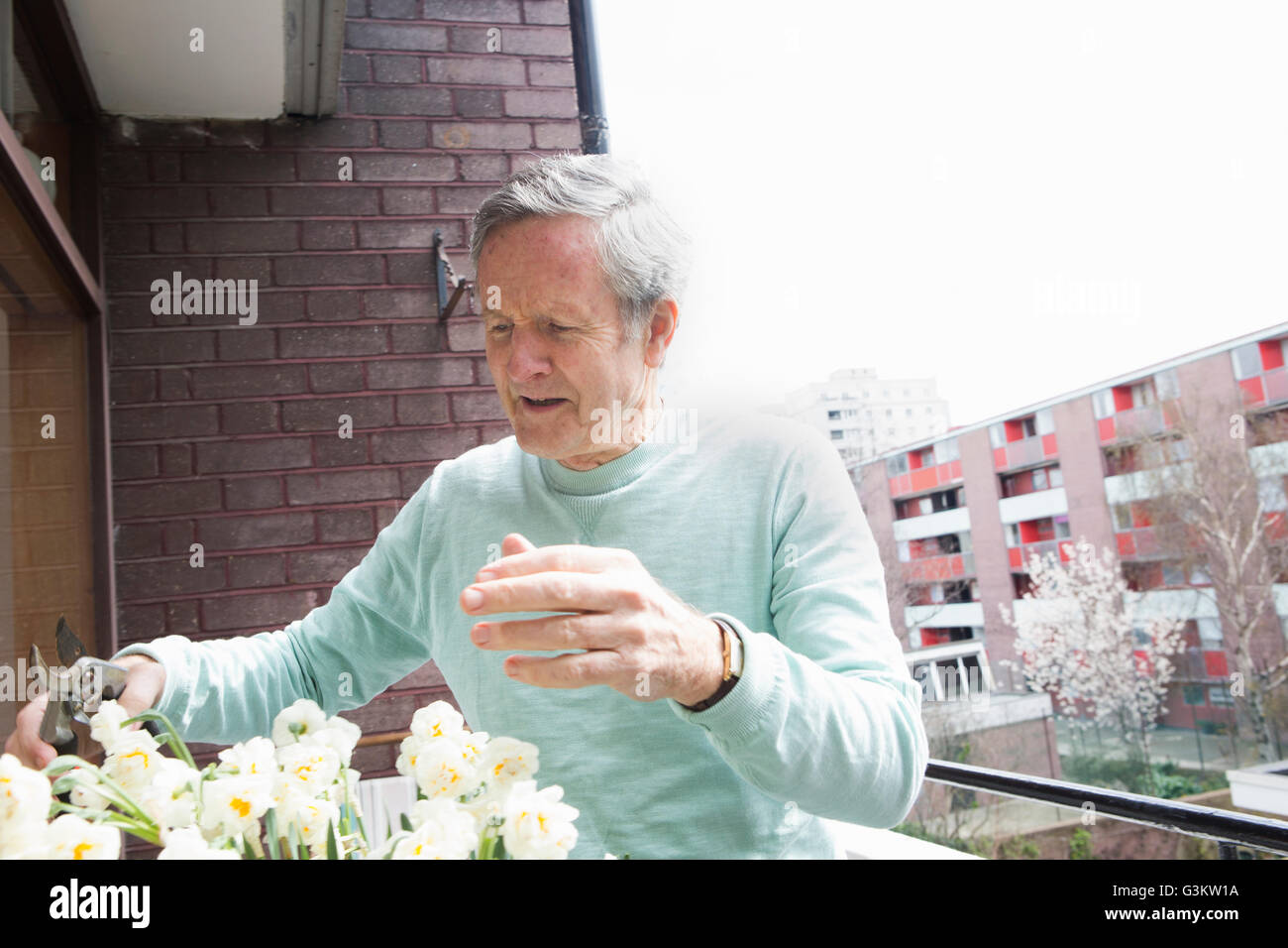 Man gardening on balcony Stock Photo