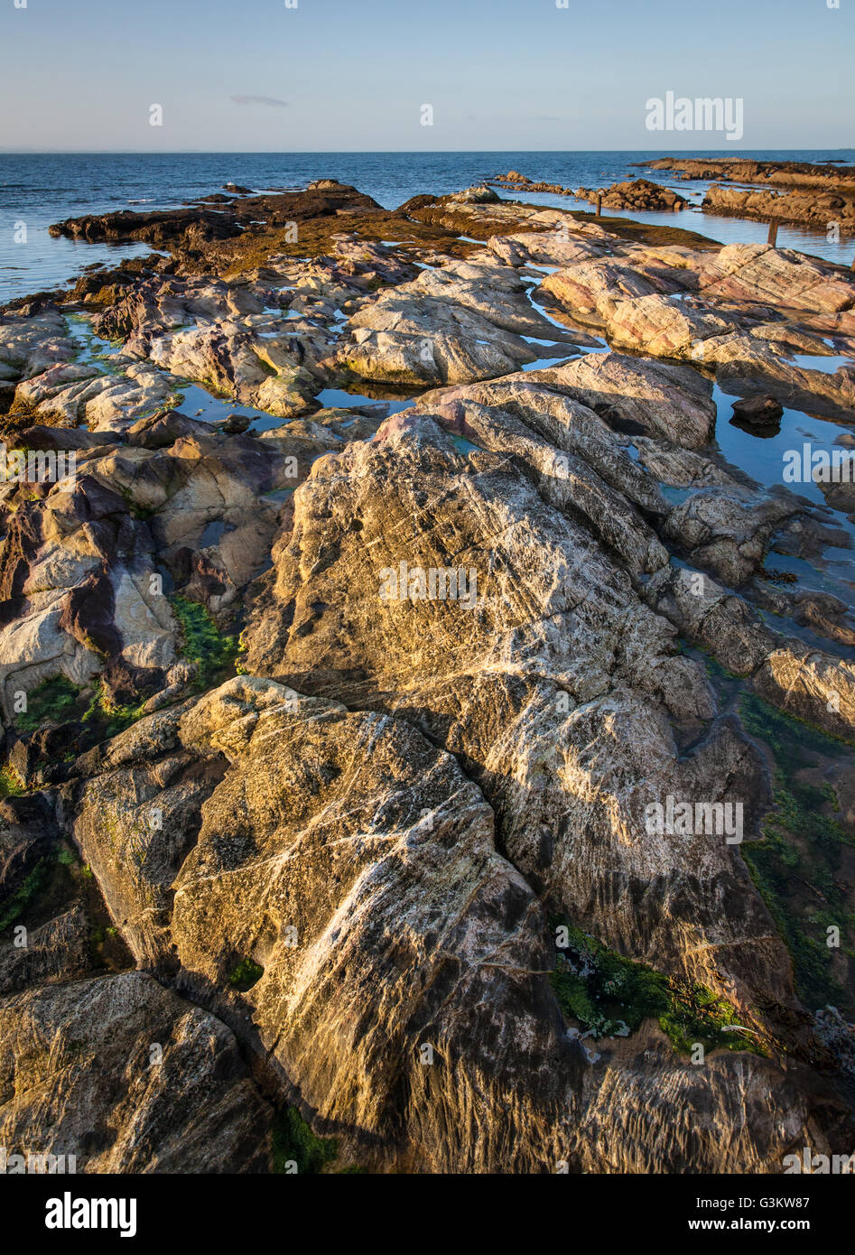 Foreshore Rocks, Early Morning, Pittenweem, Fife, Scotland Stock Photo
