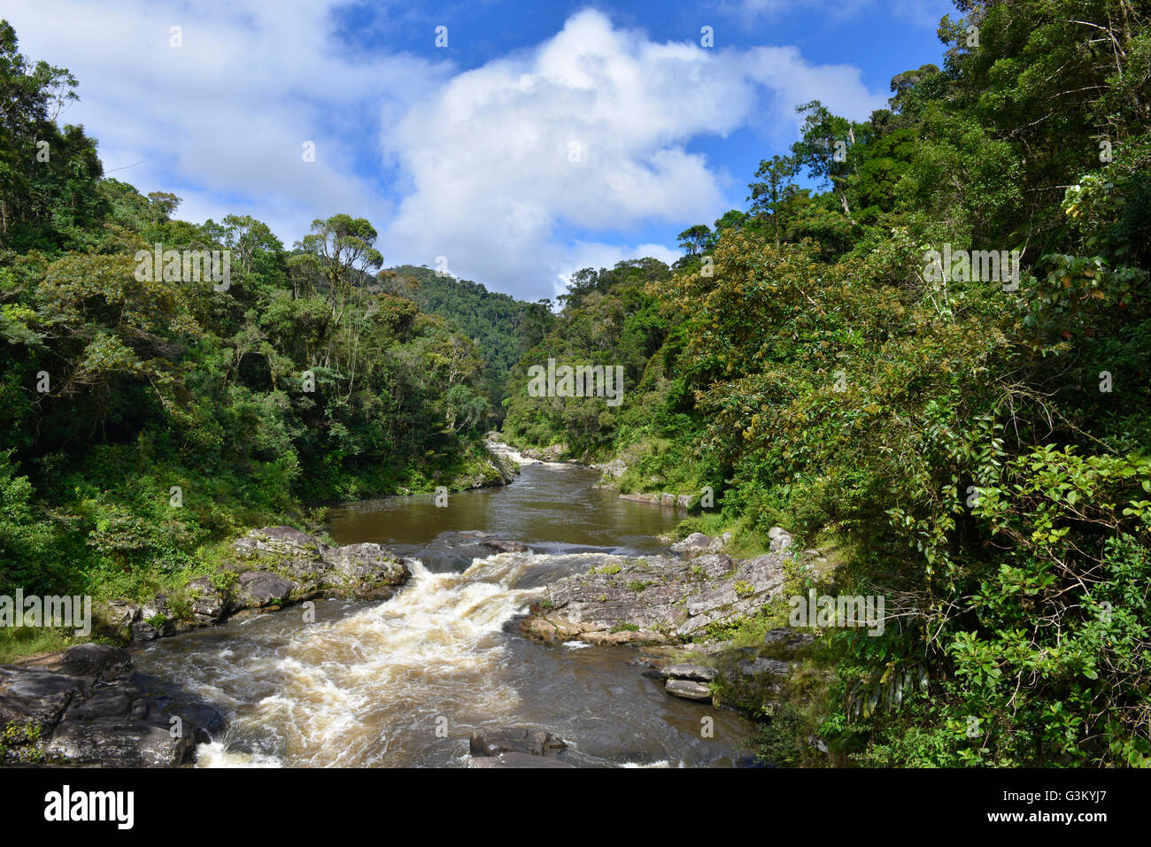 River meander, rainforest, Ranomafana National Park, Southern Highlands, Madagascar Stock Photo