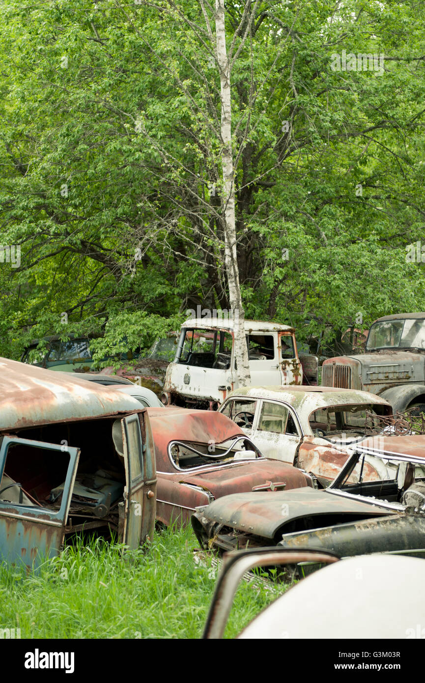 Cars junkyard hires stock photography and images Alamy