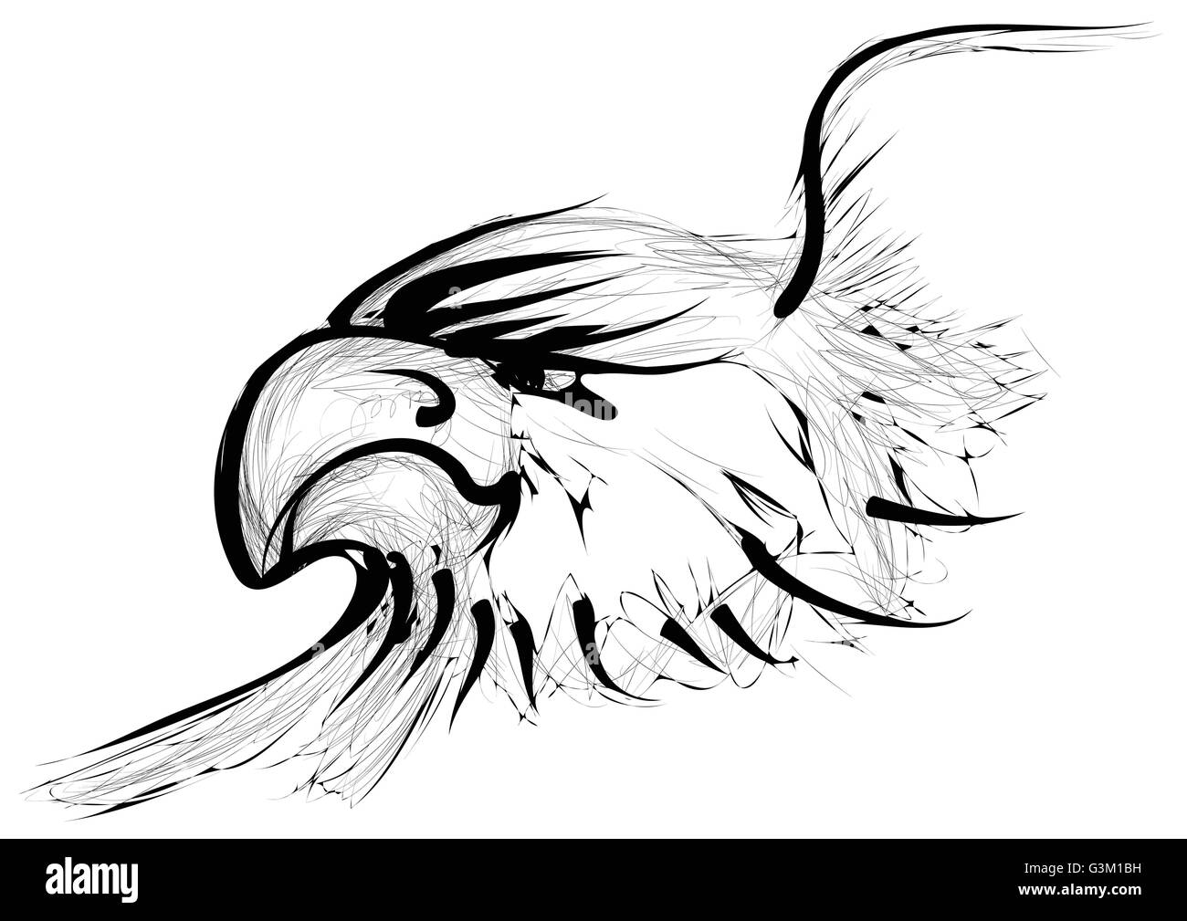 golden eagle isolated on a white background Stock Vector Image & Art