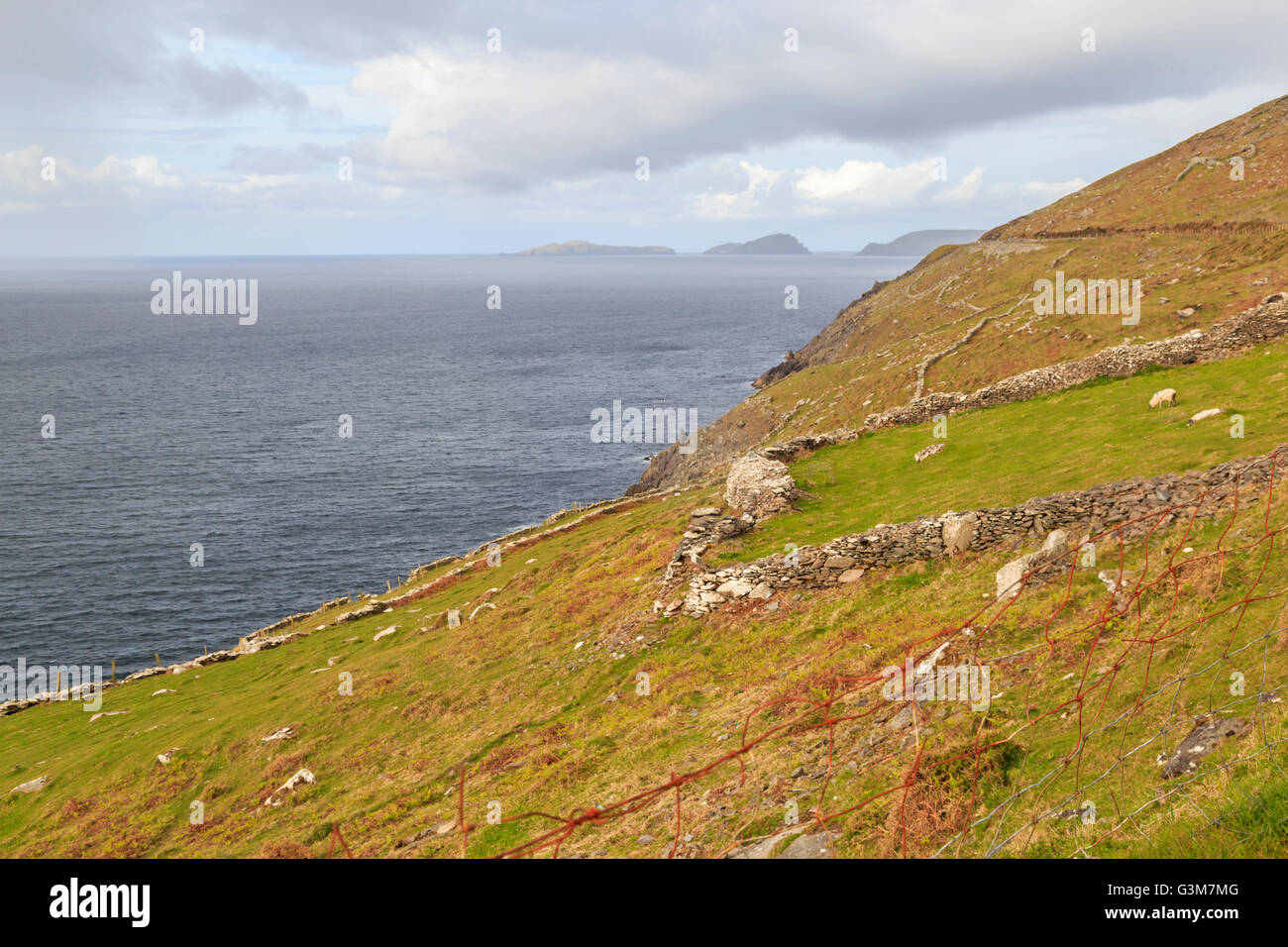 View along the coast  to the Blasket Islands on the horizon, Dingle Peninsula, Co. Kerry, Munster Province, Republic of Ireland. Stock Photo