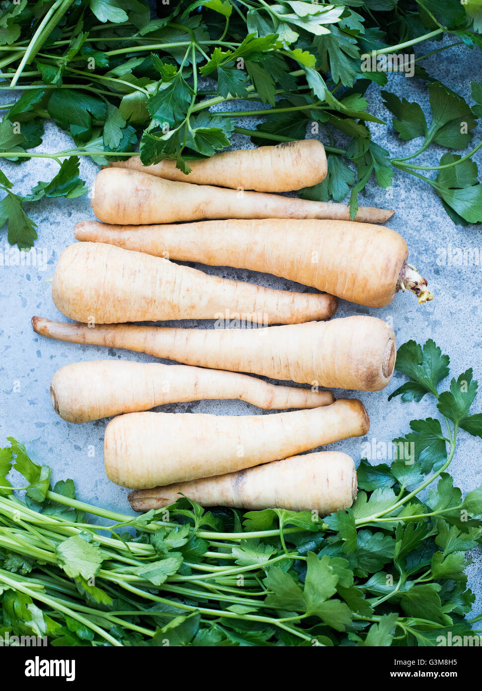 Cleaned parsley roots and parsley Stock Photo Alamy