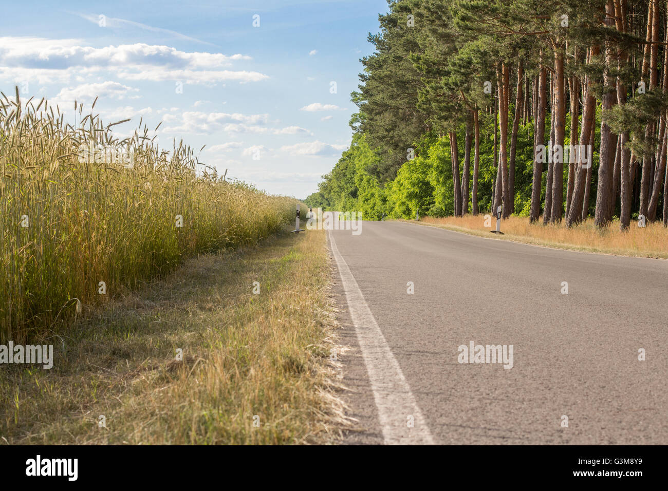 Field rye road day hi-res stock photography and images - Alamy