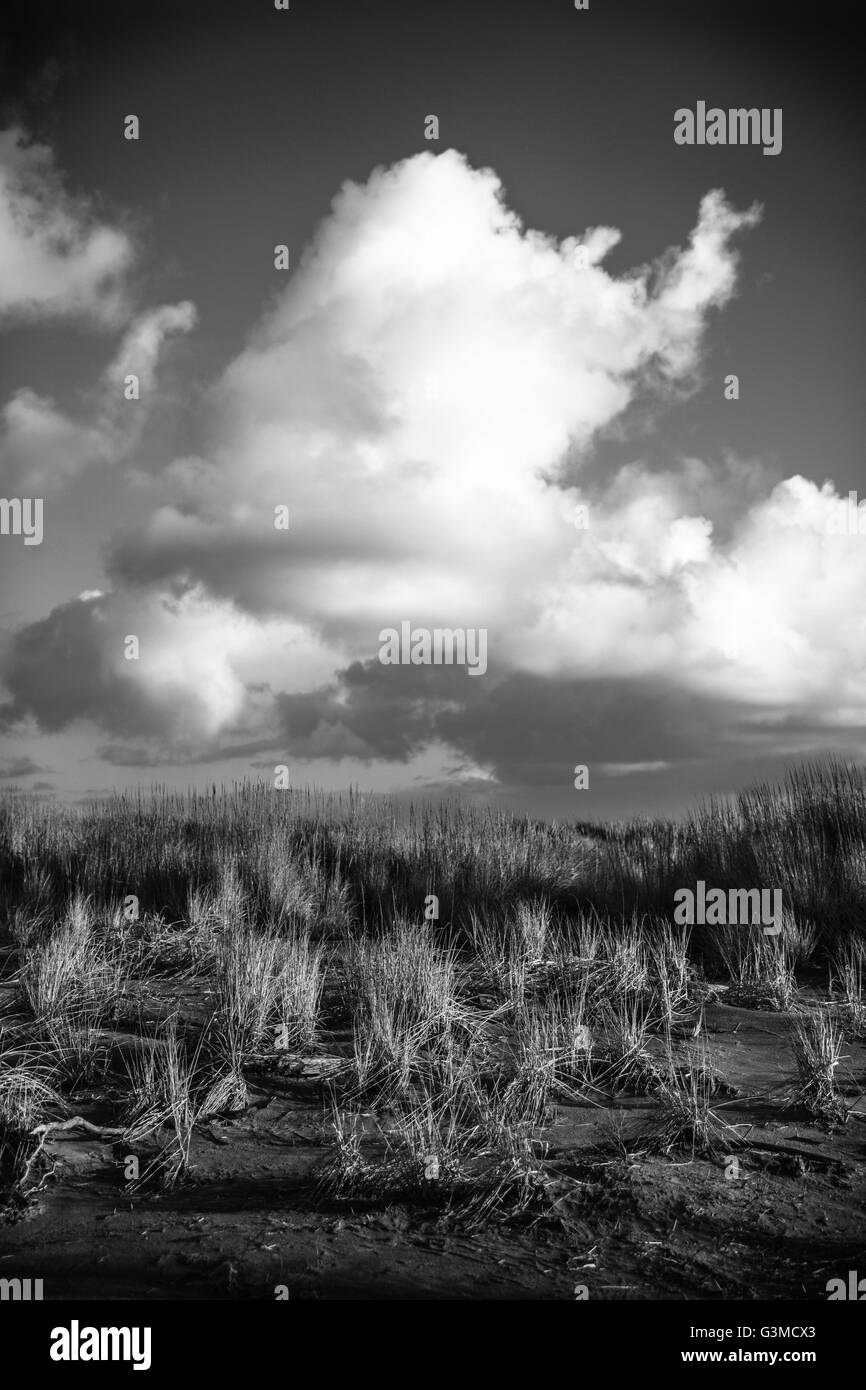 Tall dreamy clouds floating above a stretch of grassy coastline. Stock Photo