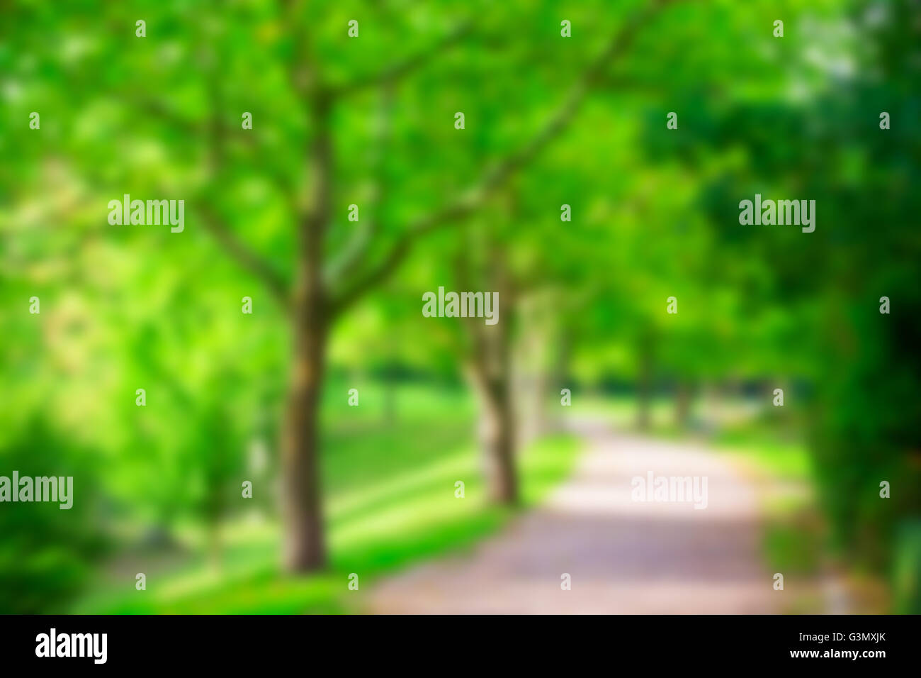 Abstract blur city park bokeh background Stock Photo - Alamy