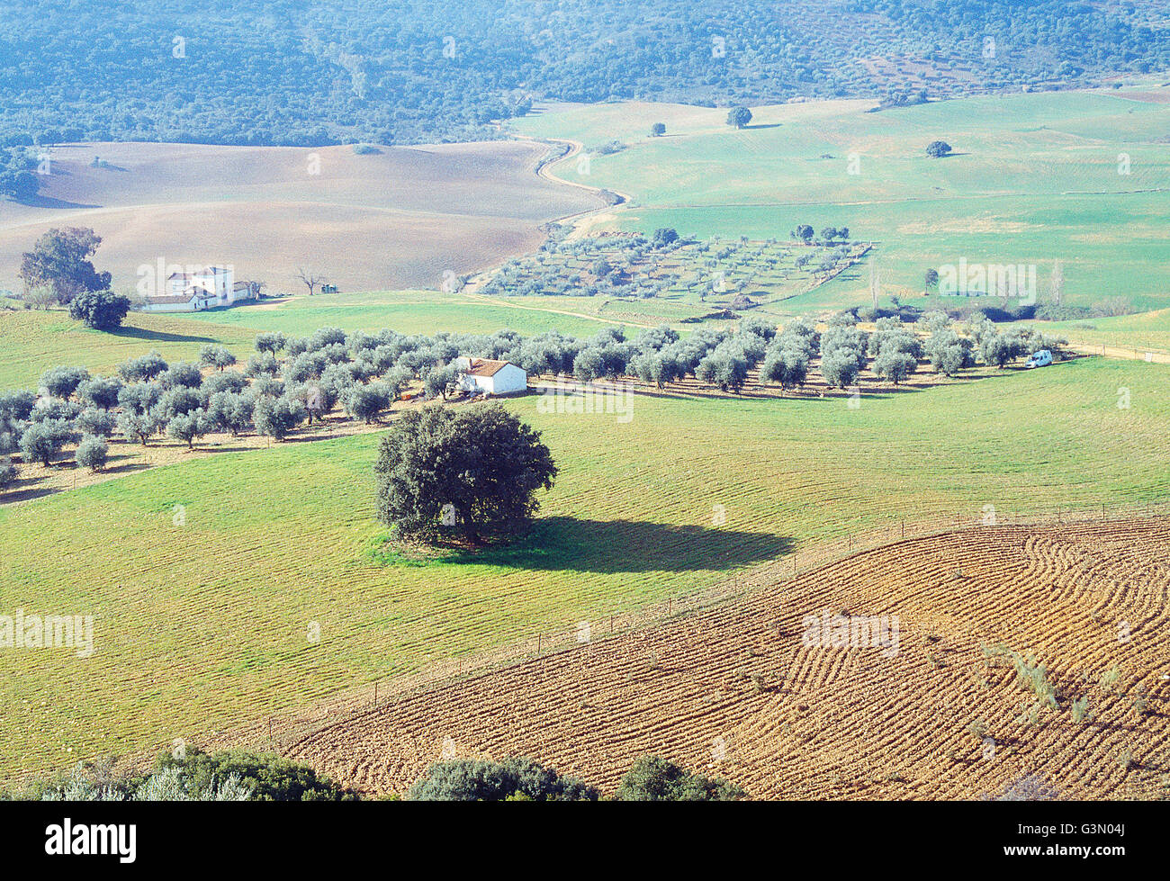 Concepto de agricultura hi-res stock photography and images - Alamy