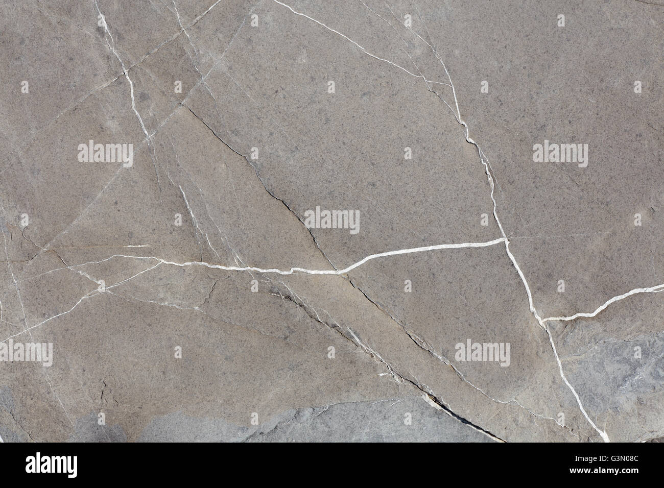 Gray stone texture background with white veins Stock Photo