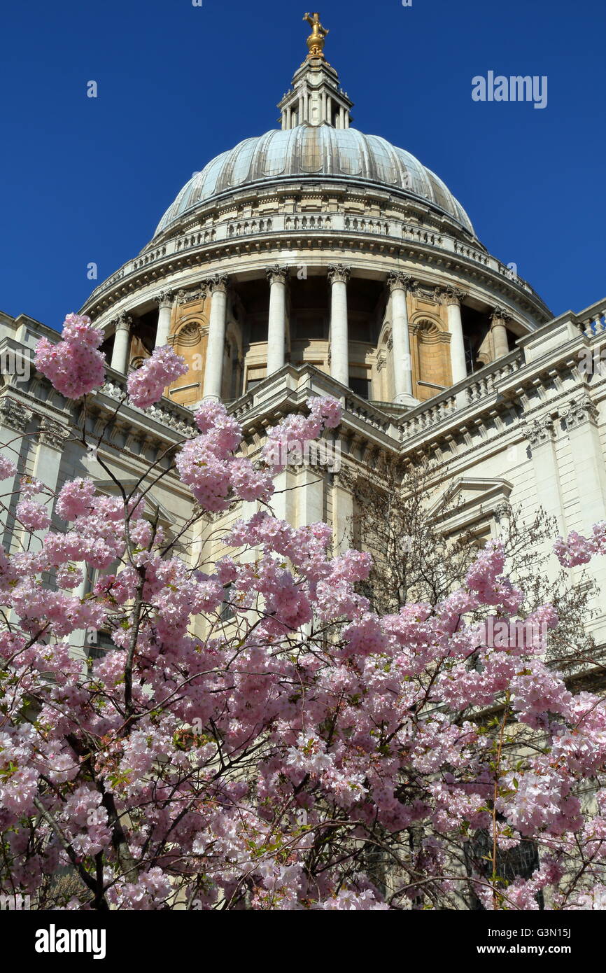 St Paul's Cathedral with Spring colors, detail of the dome, London, Great Britain Stock Photo