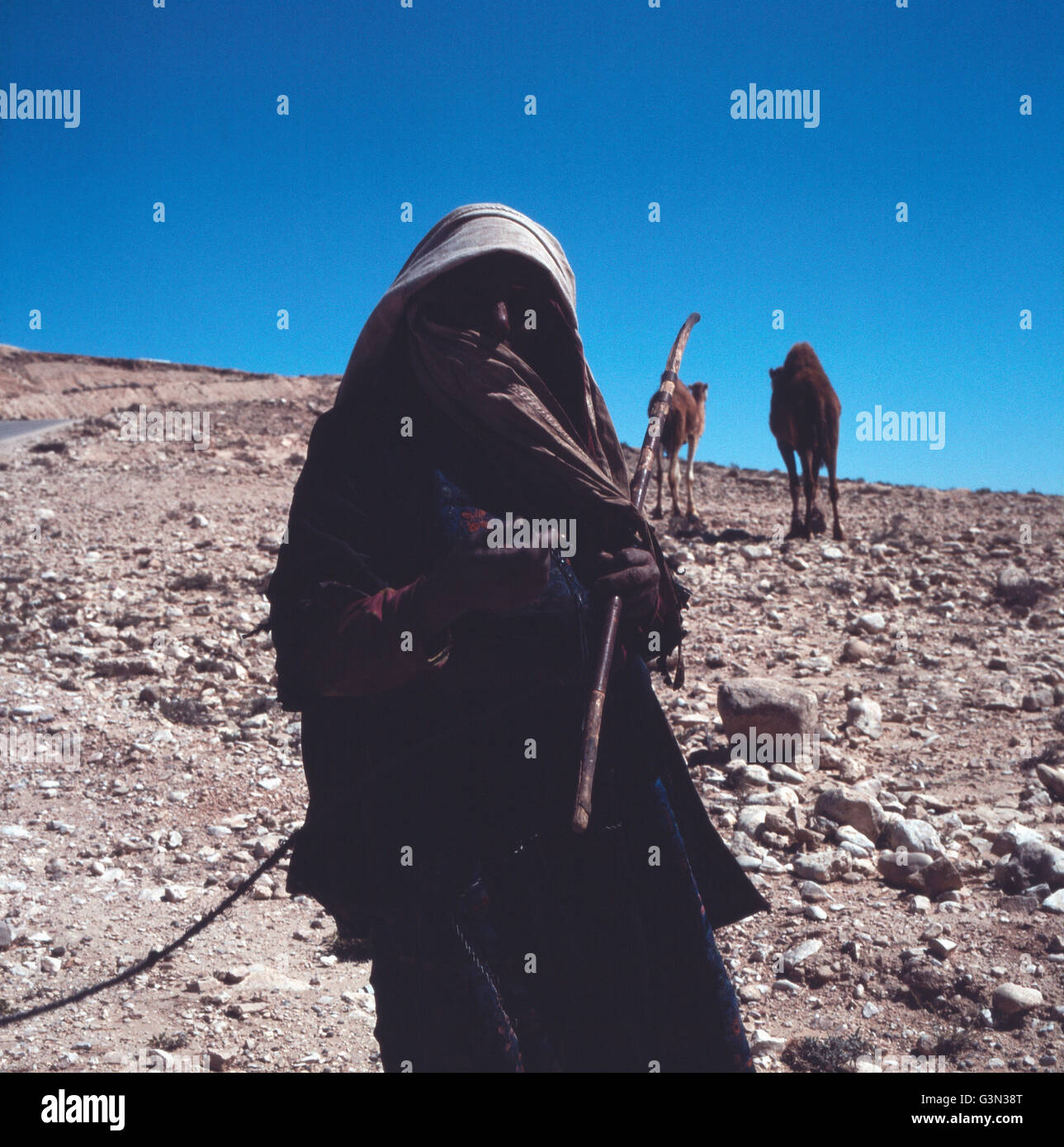 Israel negev desert bedouin woman hi-res stock photography and images ...