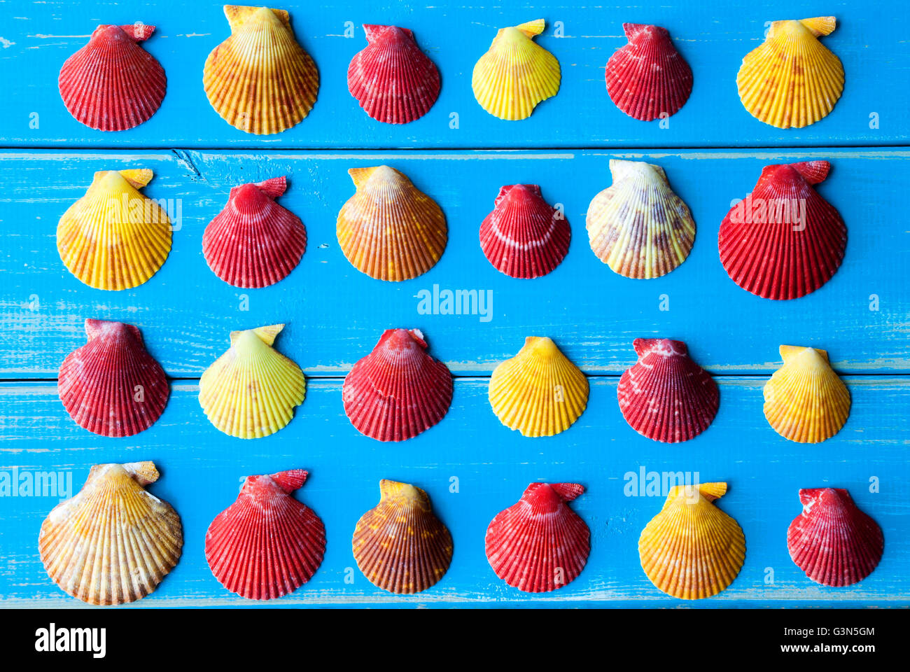 Yellow And Red Seashells As Texture On Blue Wooden Background Stock ...
