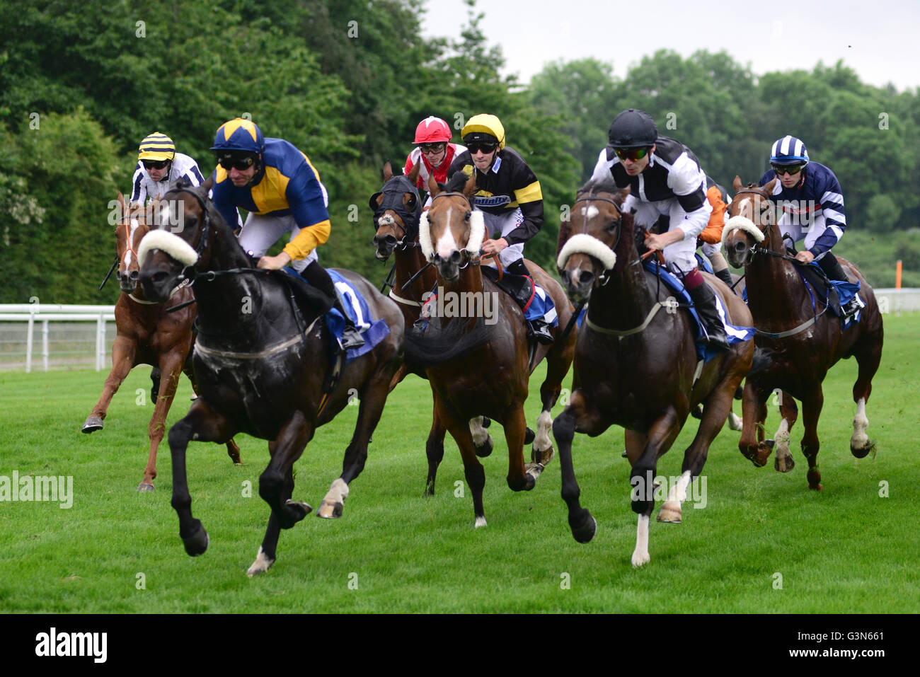Horse racing at York Racecourse, North Yorkshire, UK. Stock Photo