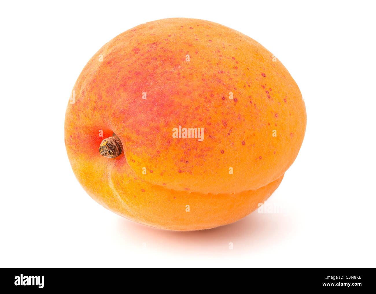 Fresh Yellow Apricot Isolated on White Background in Full Depth of