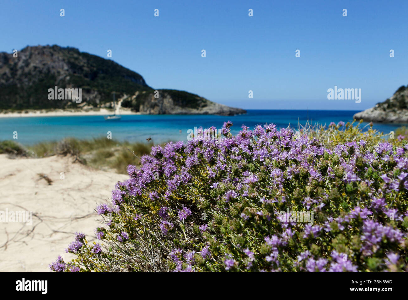Voidokilia beach just north of Yialova and Pylos on the Messinian coast Southern Peloponnese Greece Stock Photo