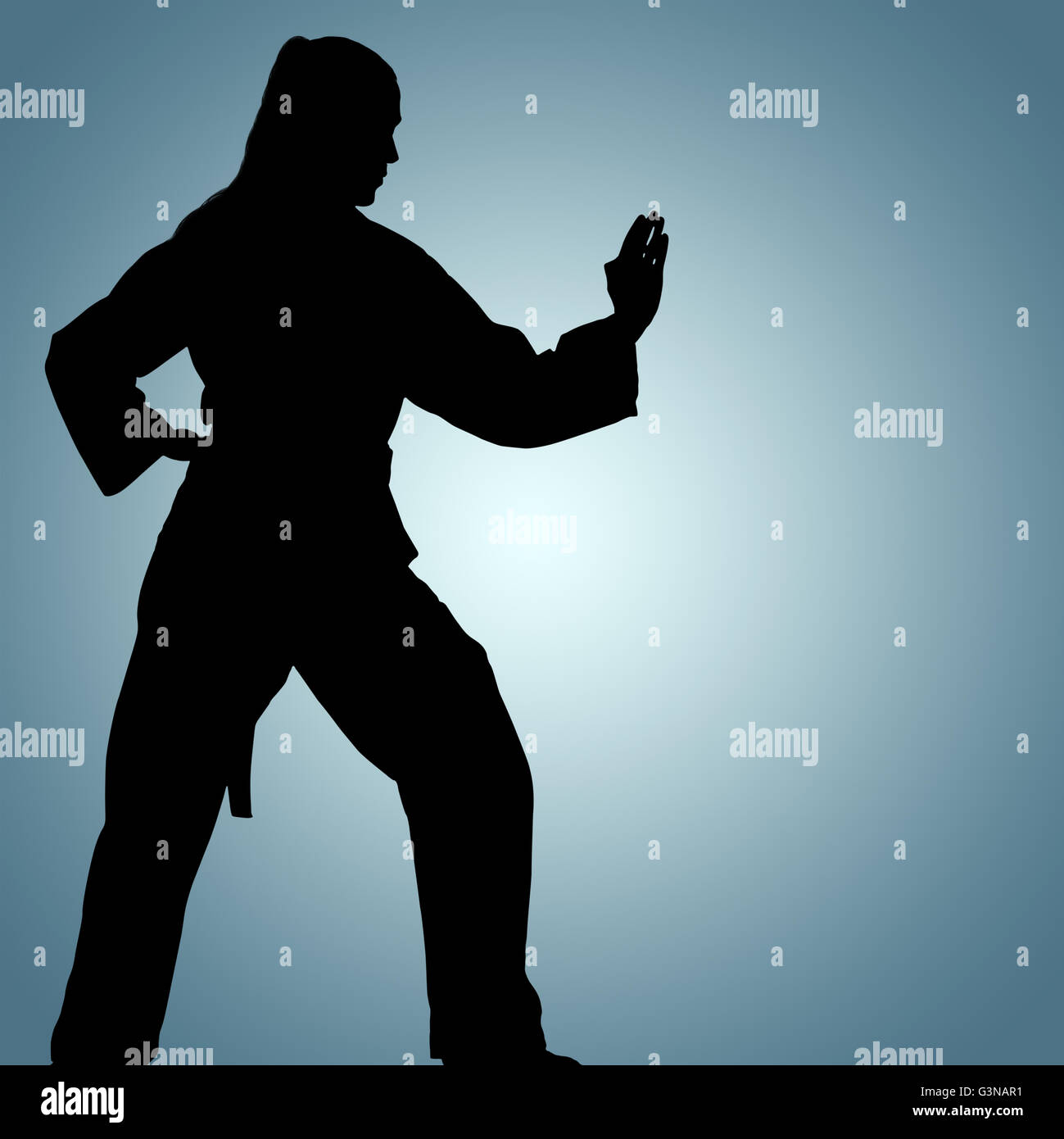 Composite image of female fighter performing karate stance Stock Photo ...