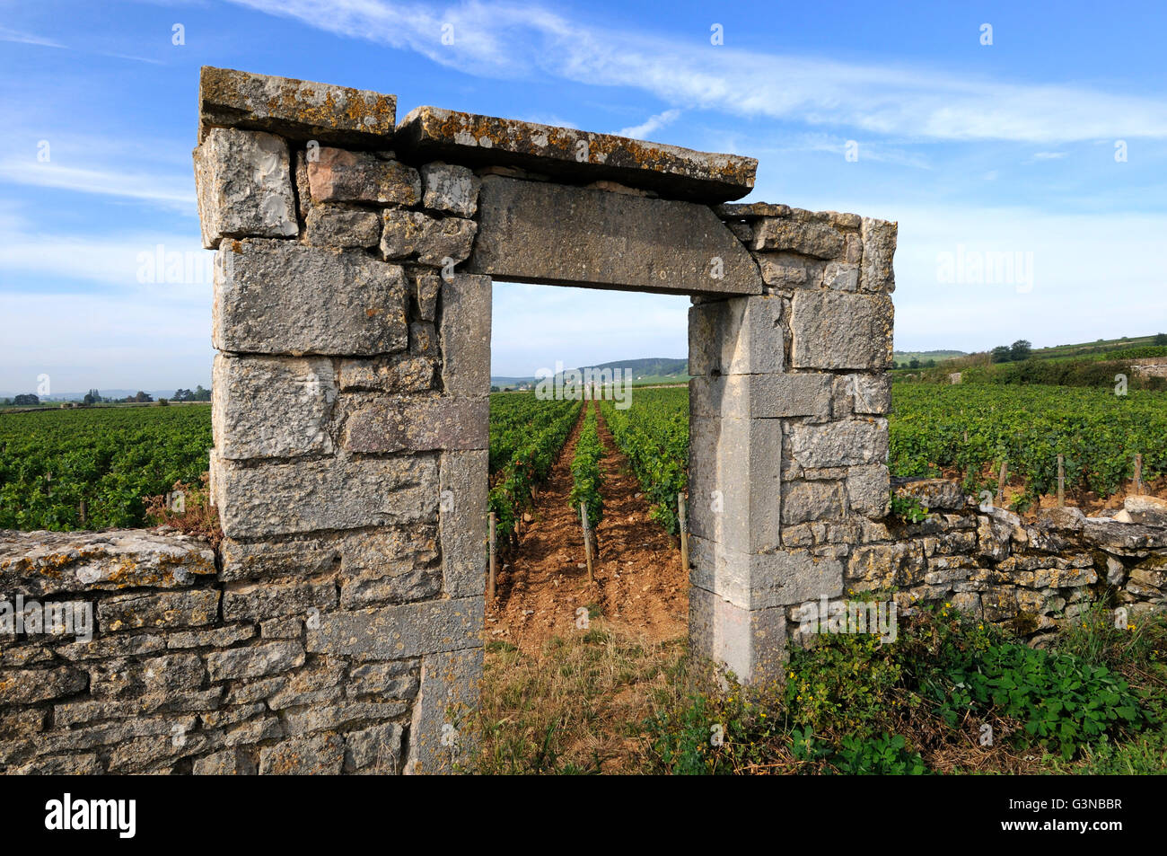 Portal of vineyard in Burgundy near Beaune, Cote d'Or, France, Europe Stock Photo