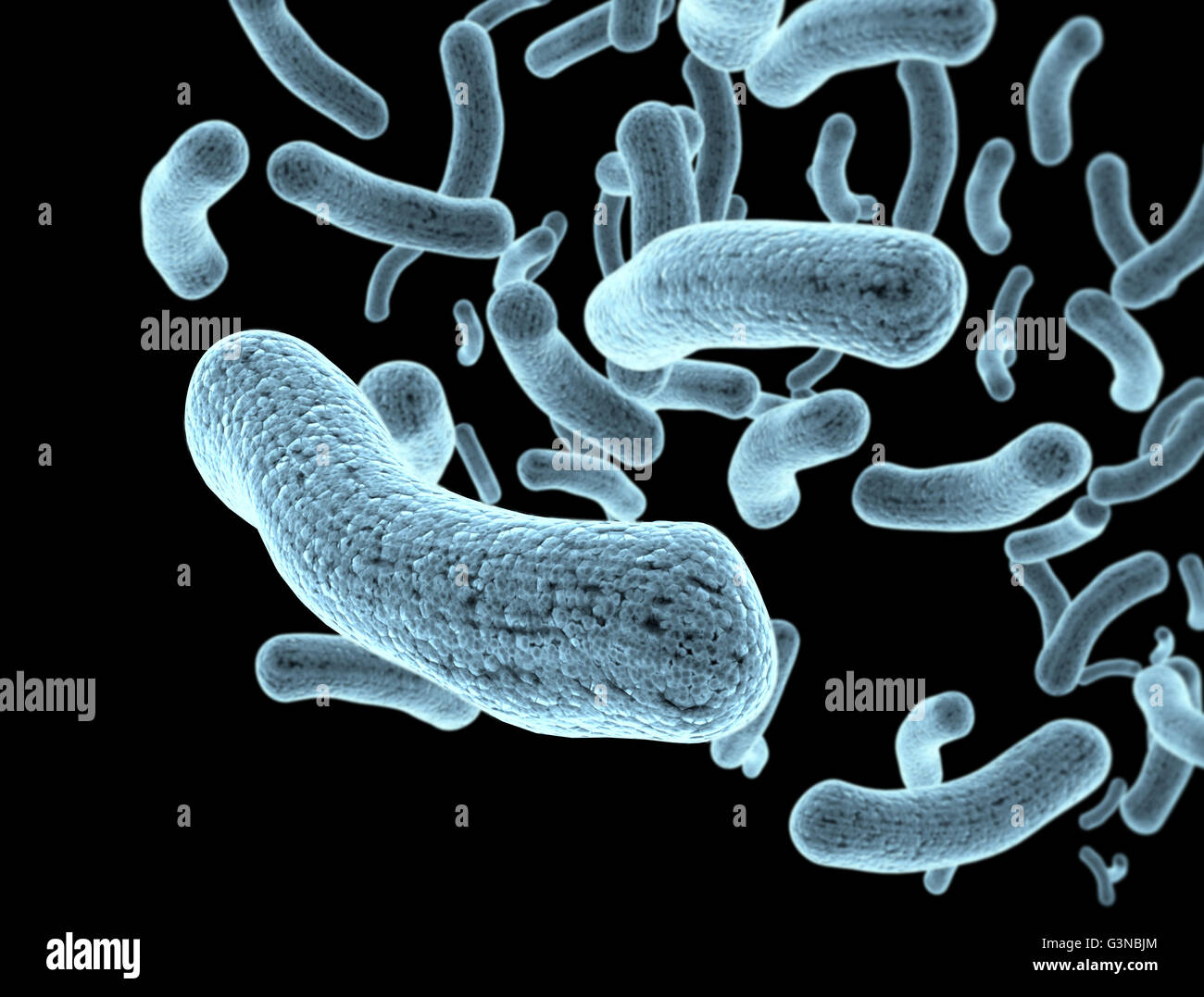 Bacteria and bacterium cells medical illustration of bacterial disease infection Stock Photo