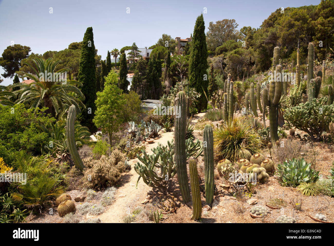Jardí Botànic Marimurtra, botanical gardens, Blanes, La Selva, Costa