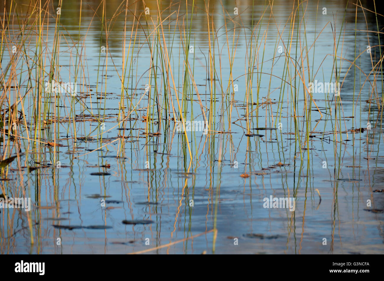 Fall on Spider Lake in Mercer, Wisconsin Stock Photo Alamy