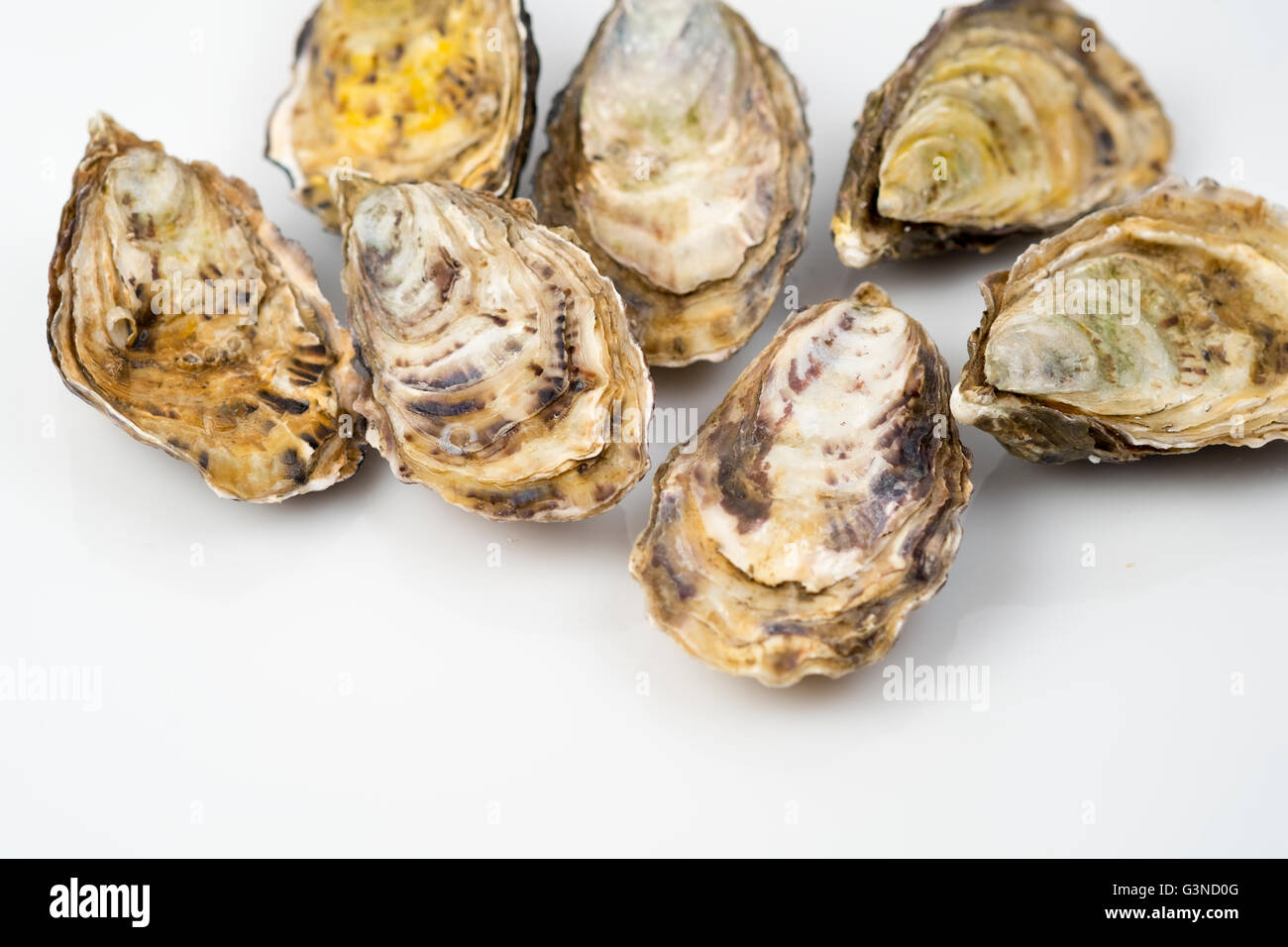 Pacific or Gigas oysters Stock Photo