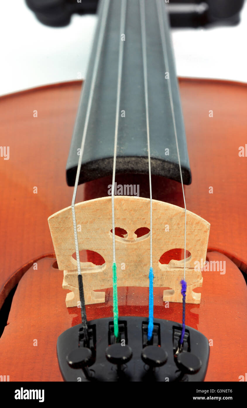 Violin Stock Photo