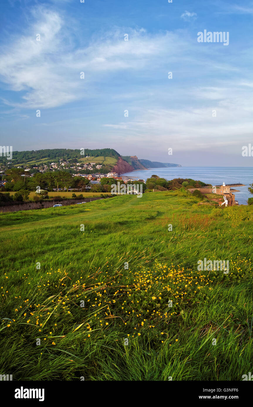 UK,Devon,Sidmouth Coastline from Peak Hill Stock Photo Alamy