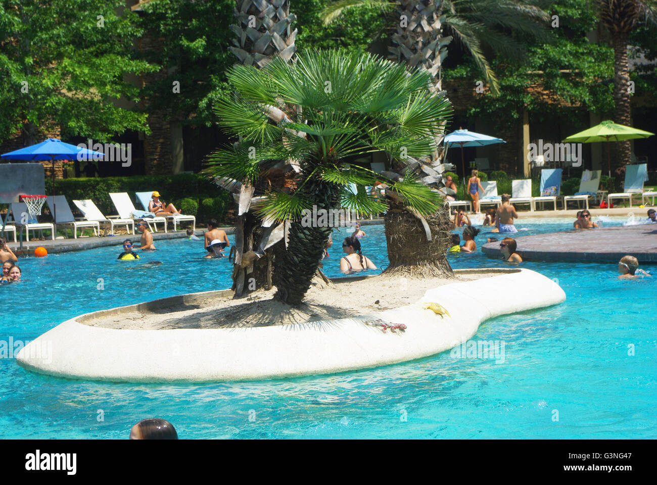 Pool island with palm tree at Woodlands Resort outside Houston Stock