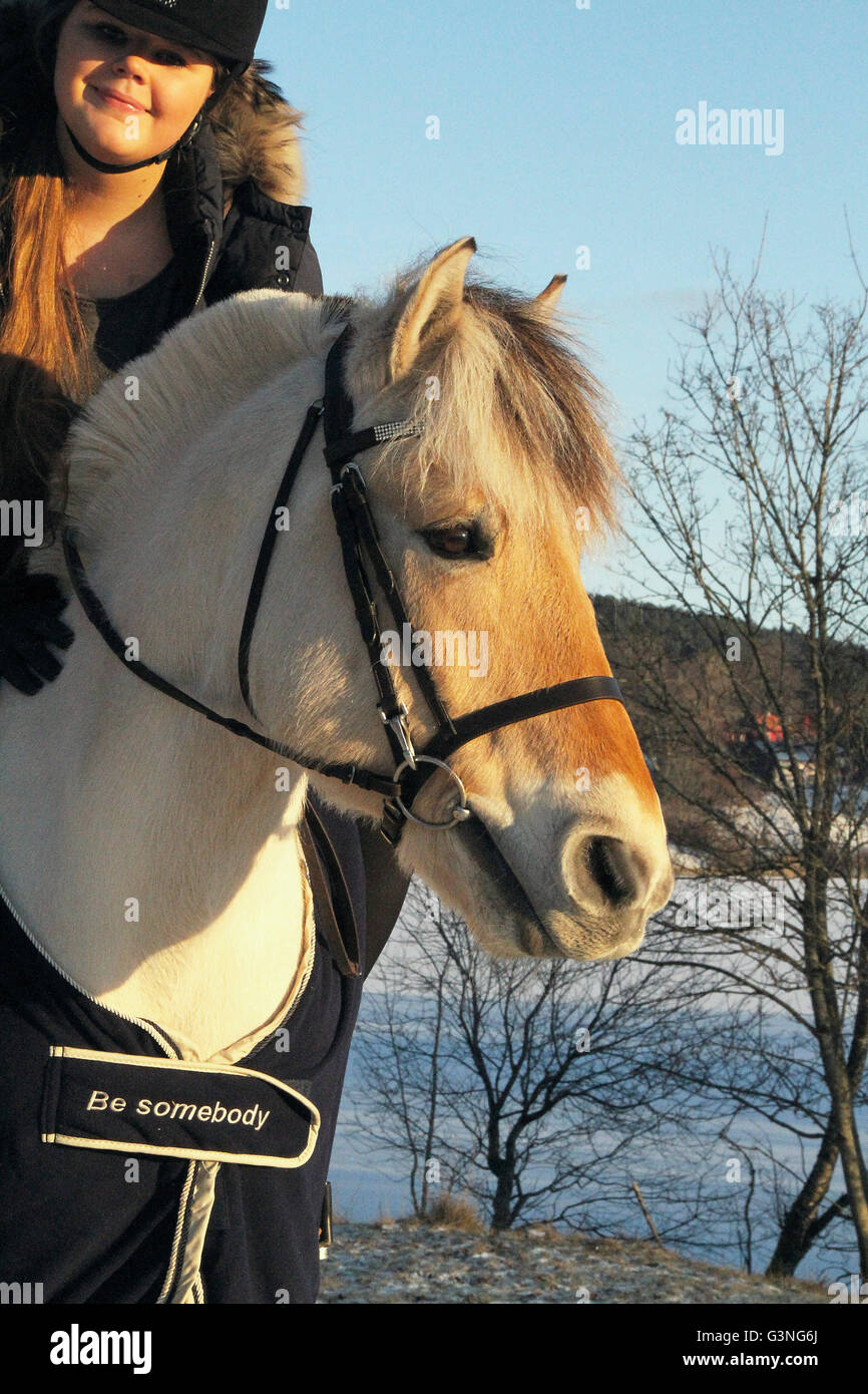 Girl riding a Norwegian fjord horse in the winter with slogan on cover Stock Photo