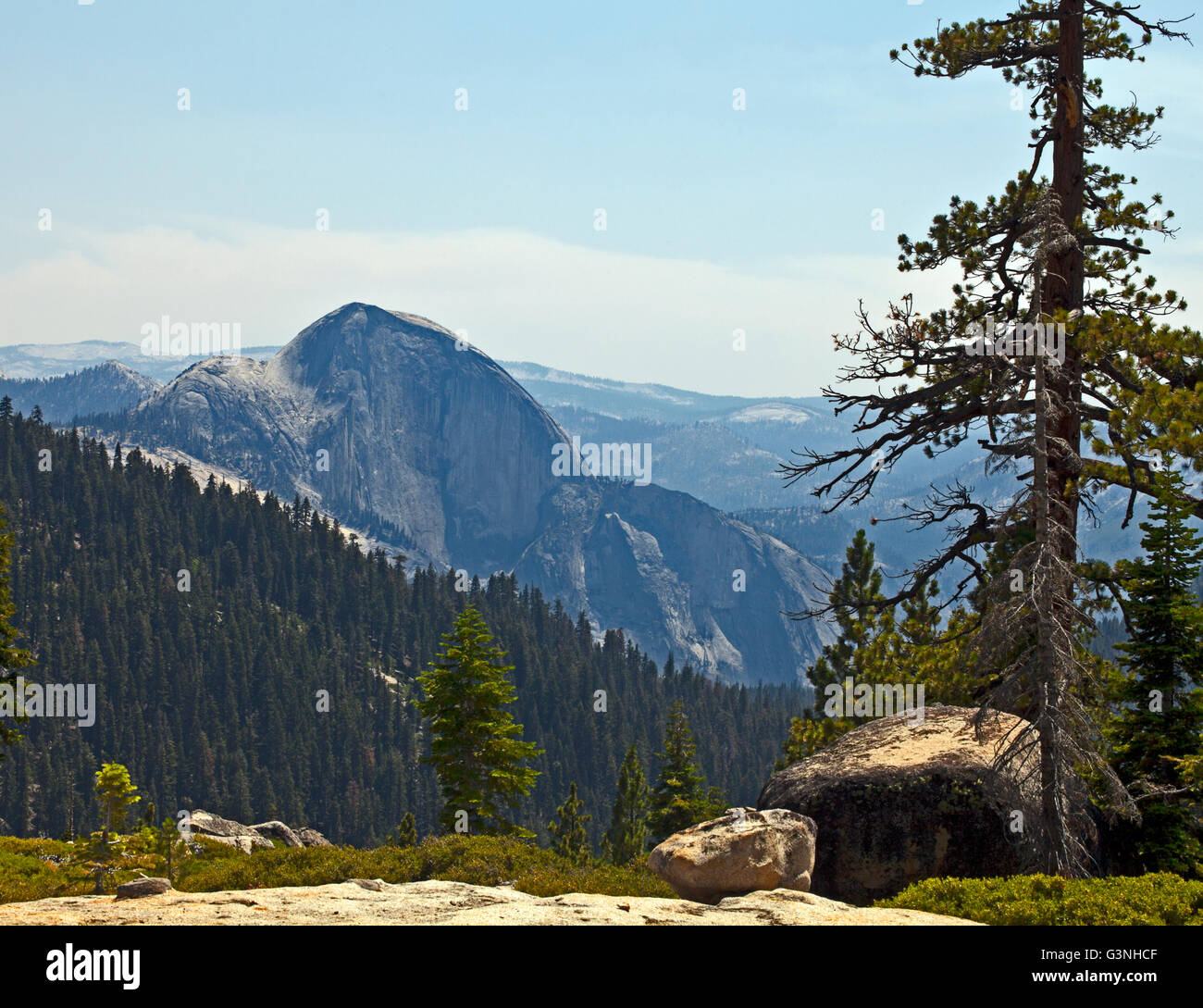 Half Dome, as seen from a hiking trail near Olmsted Point off the Tioga