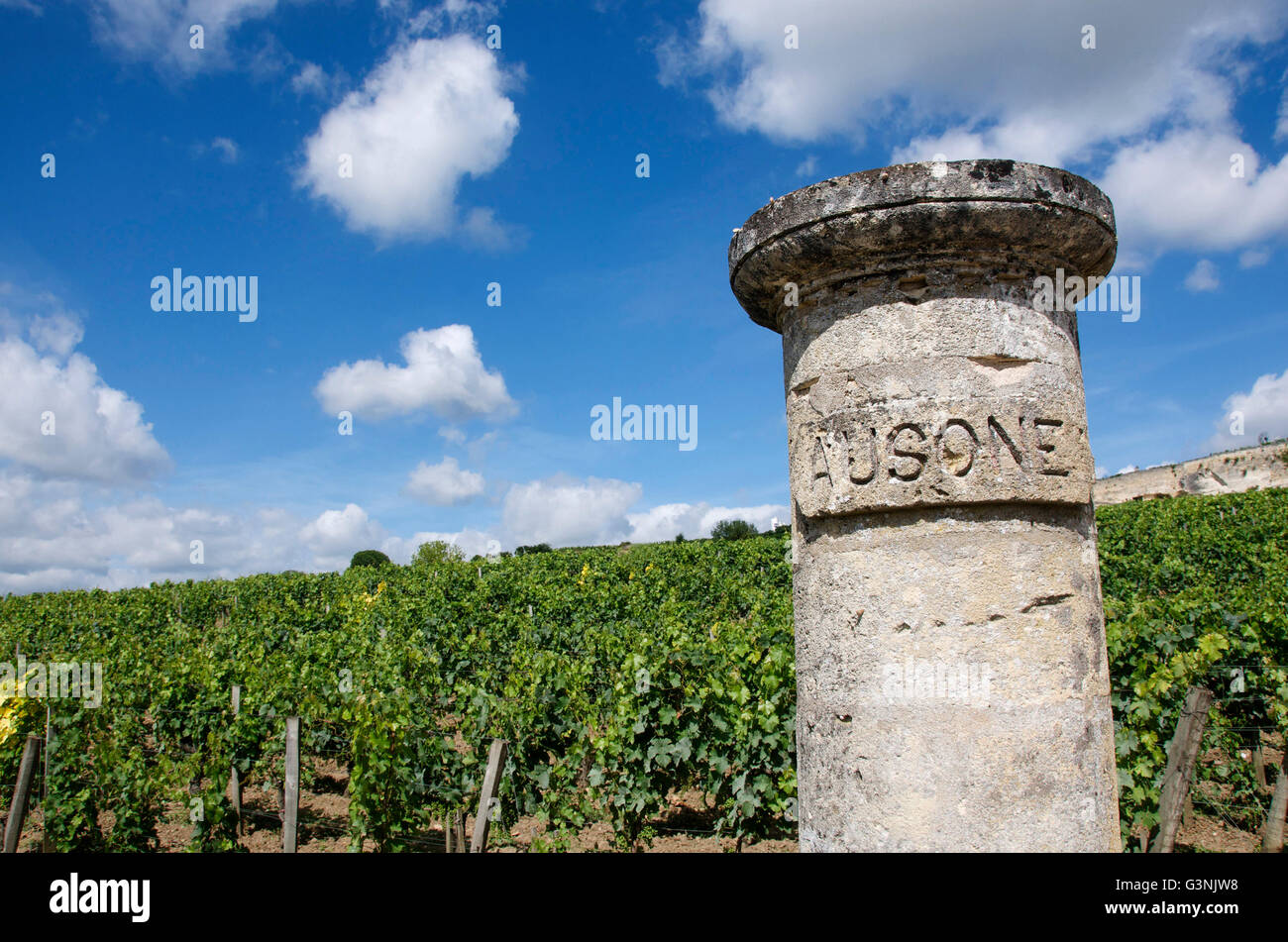 Chateau Ausone, vineyard of Saint-Émilion, Gironde, Aquitaine, France, Europe Stock Photo