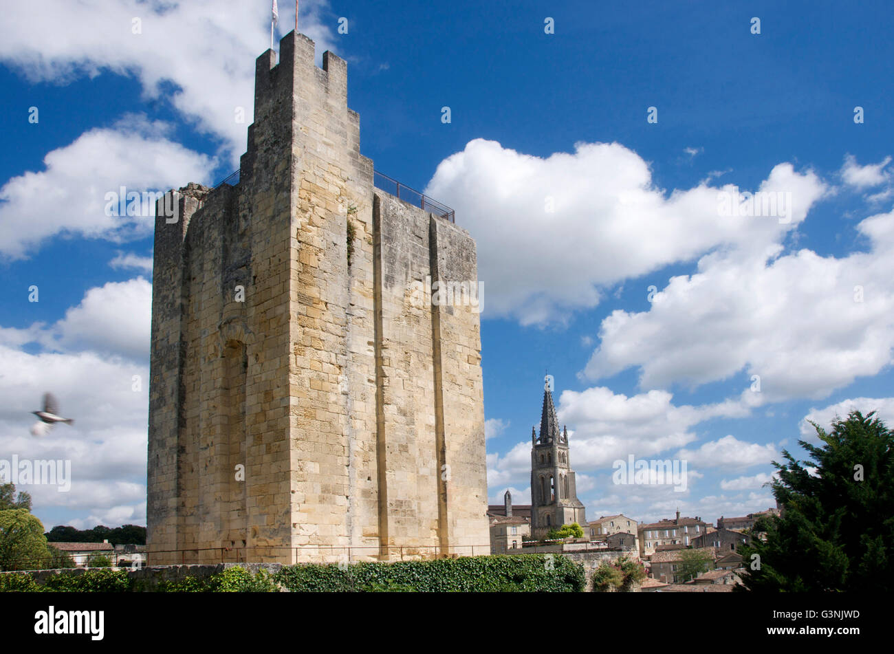 Chateau du Roi, King's Castle, tower, donjon, Saint-Émilion, Gironde Bordeaux, France, Europe Stock Photo