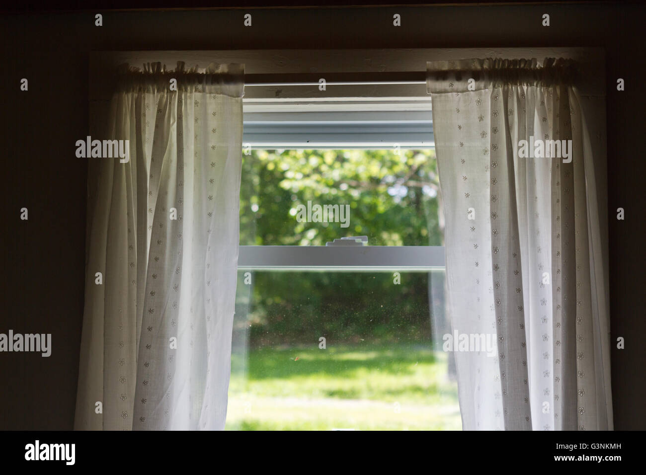 Vintage White Curtains At A Window Looking Out To Green Lawn Stock