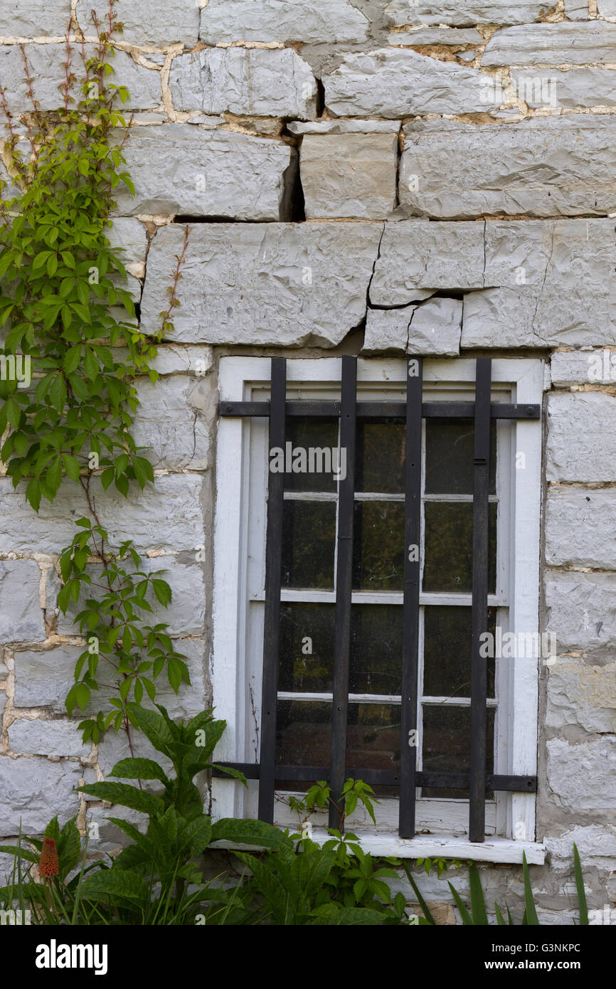 Window in old stone building with climbing plants Stock Photo - Alamy