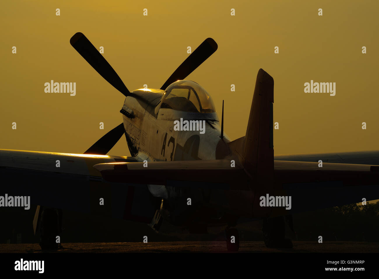 P-51D, Mustang, Red Tail, Tuskegee Airmen, Stock Photo