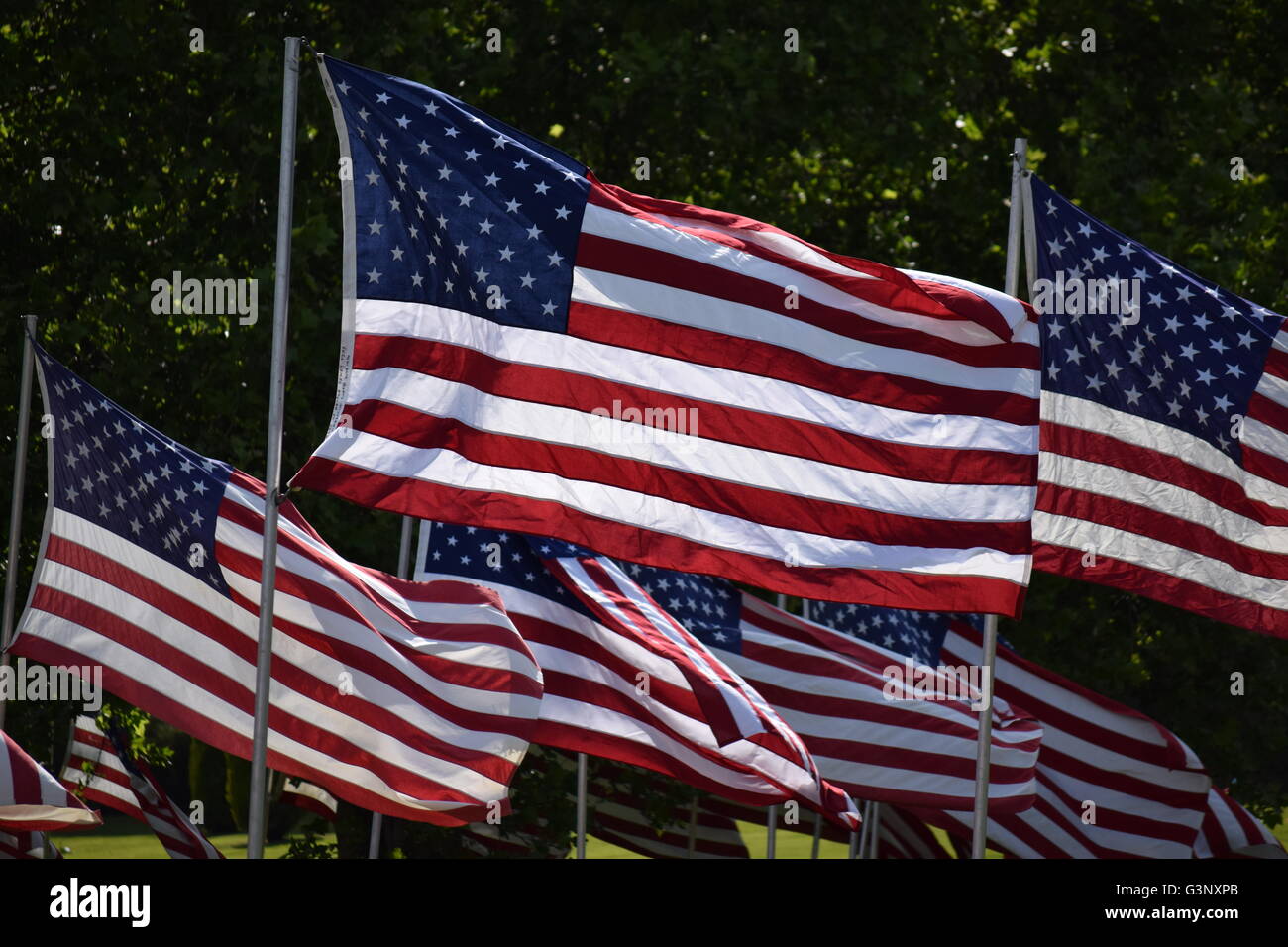 American Flags Flying Stock Photo Alamy