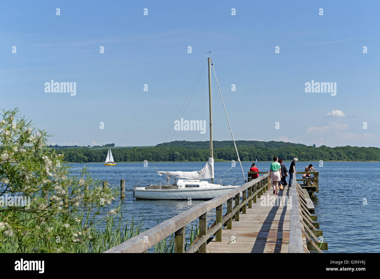 landing stage, Lake Ratzeburg, Gross Sarau, Schleswig-Holstein, Germany ...