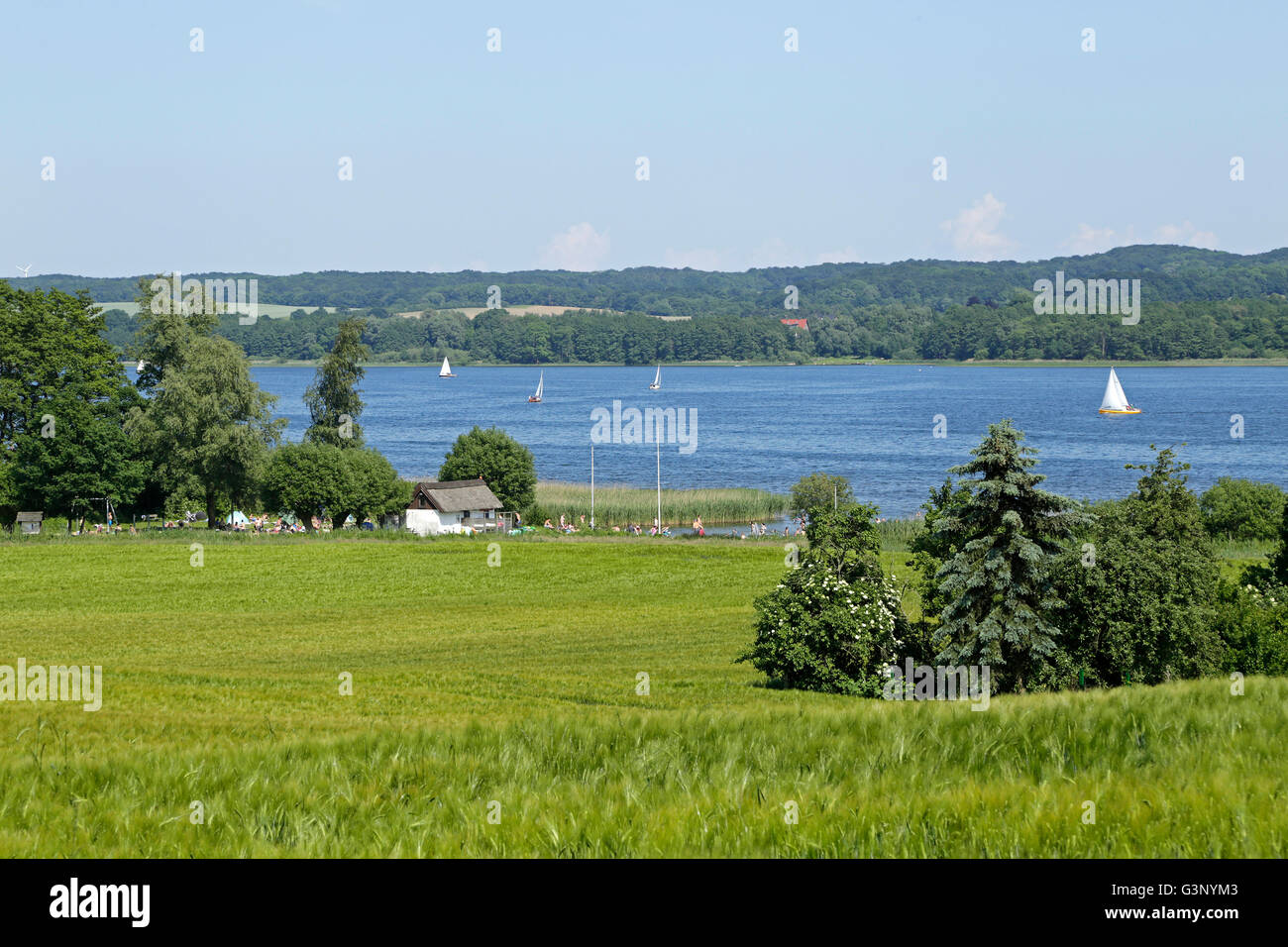 Lake Ratzeburg, Gross Sarau, Schleswig-Holstein, Germany Stock Photo ...
