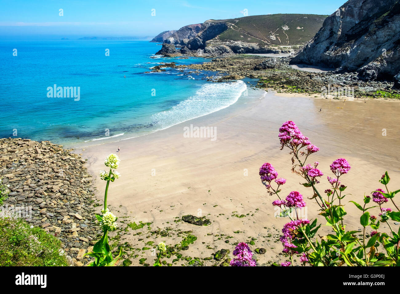 early summer at Trevaunance cove , St.Agnes, Cornwall, England, UK Stock Photo