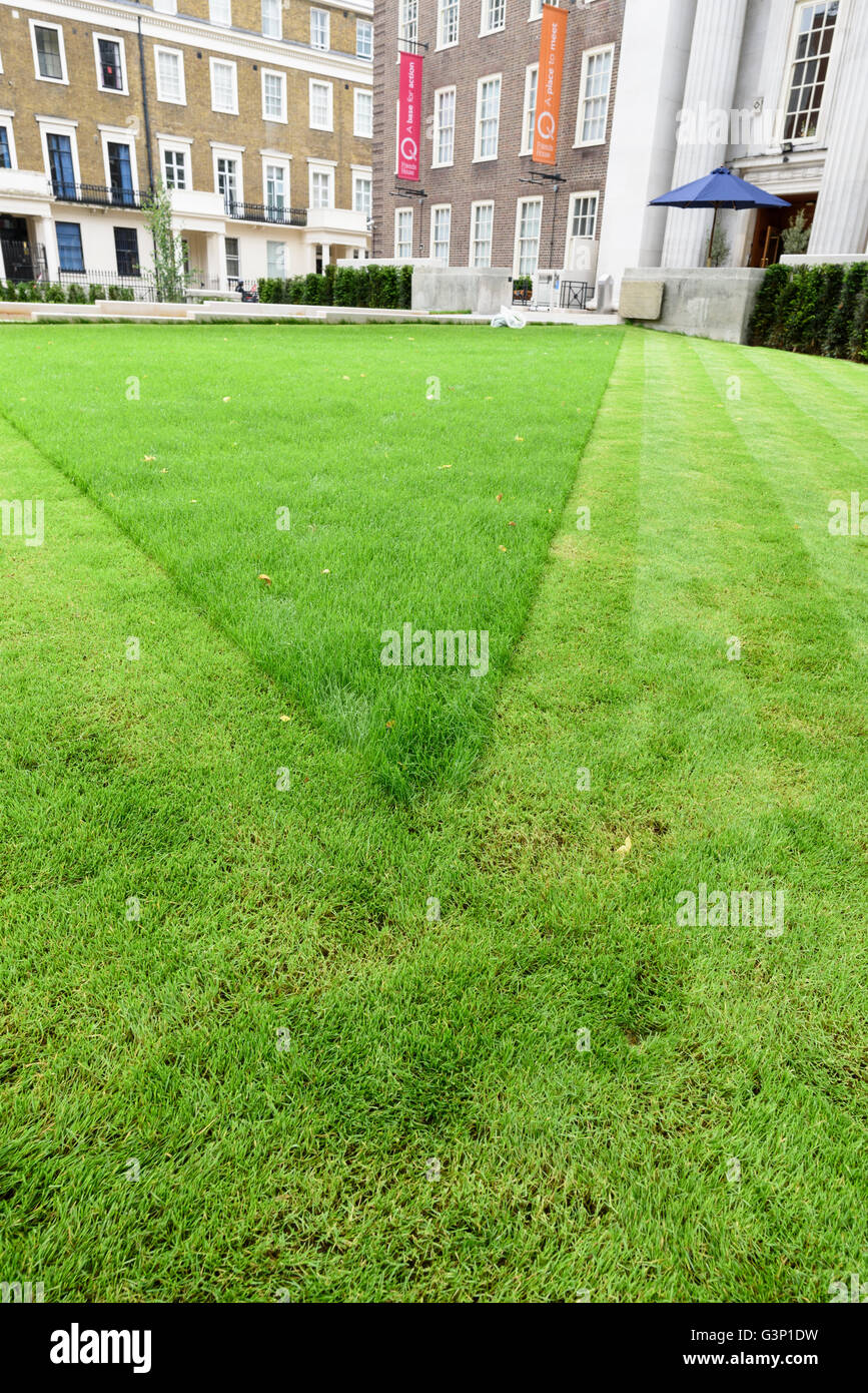 Partially mowed grass lawn, London. Stock Photo