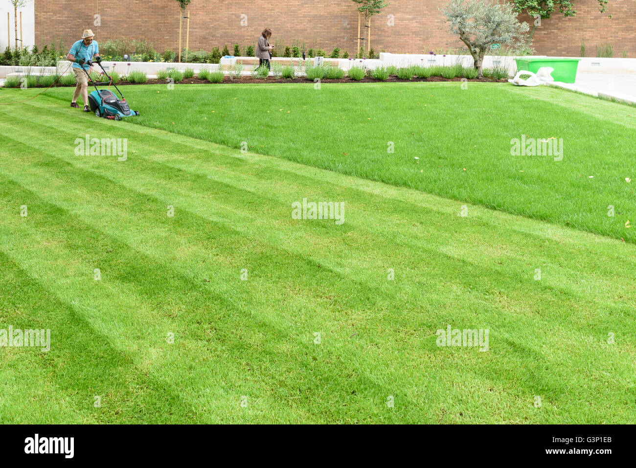 Man mowing lawn, London. Stock Photo