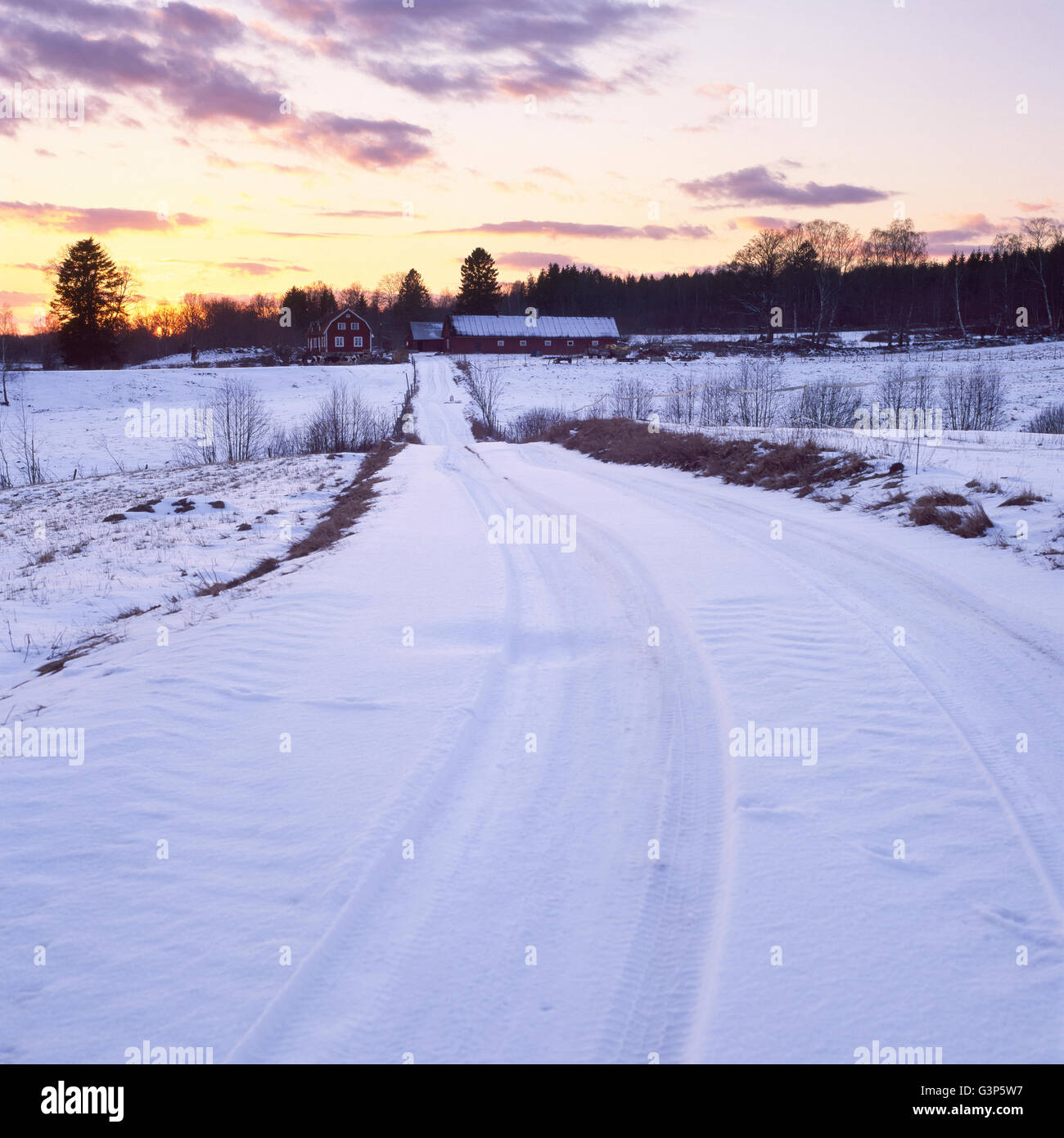 Skåne sweden in winter hi-res stock photography and images - Alamy