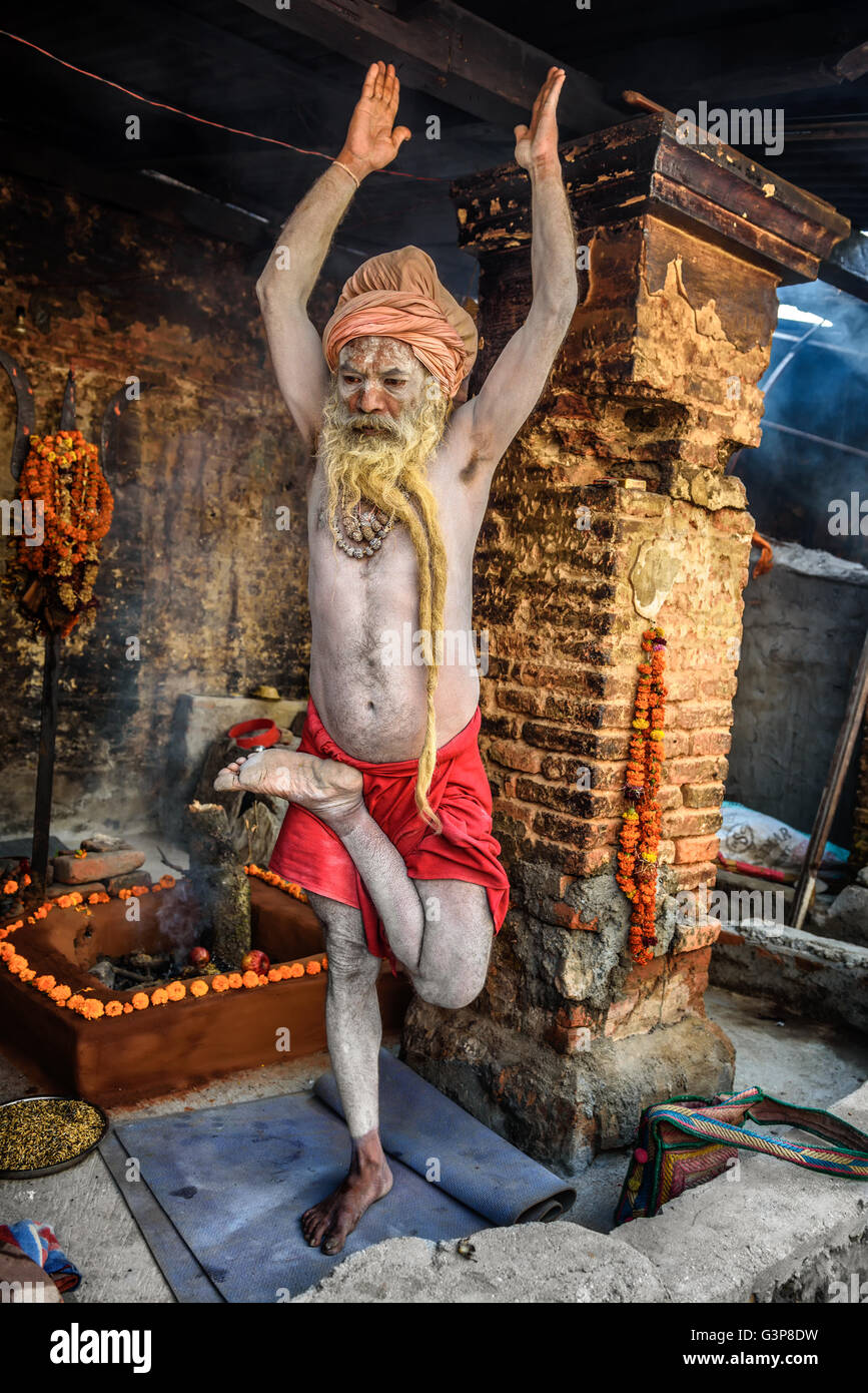 Shaiva sadhu (holy man) with traditional long beard exercises in Pashupatinath Temple Stock Photo