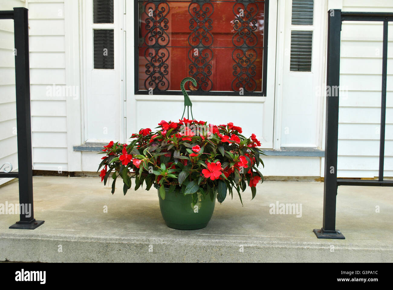 Red hanging plants hires stock photography and images Alamy