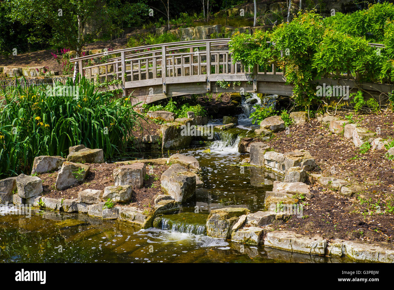 A view of the beautiful Japanese Garden Island located in Queen Marys Gardens in Regents Park, London. Stock Photo