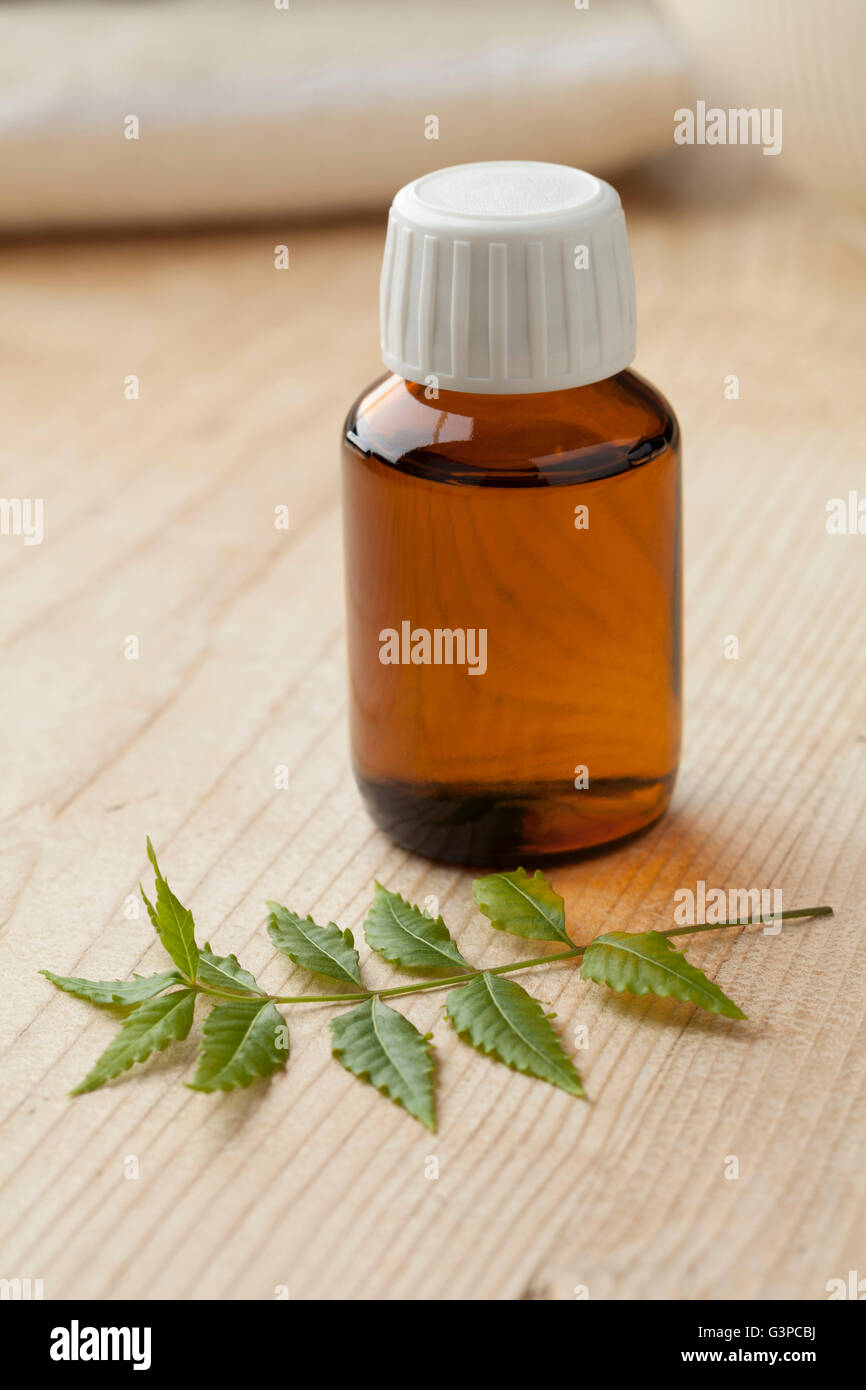 Bottle with Neem oil and green twig Stock Photo