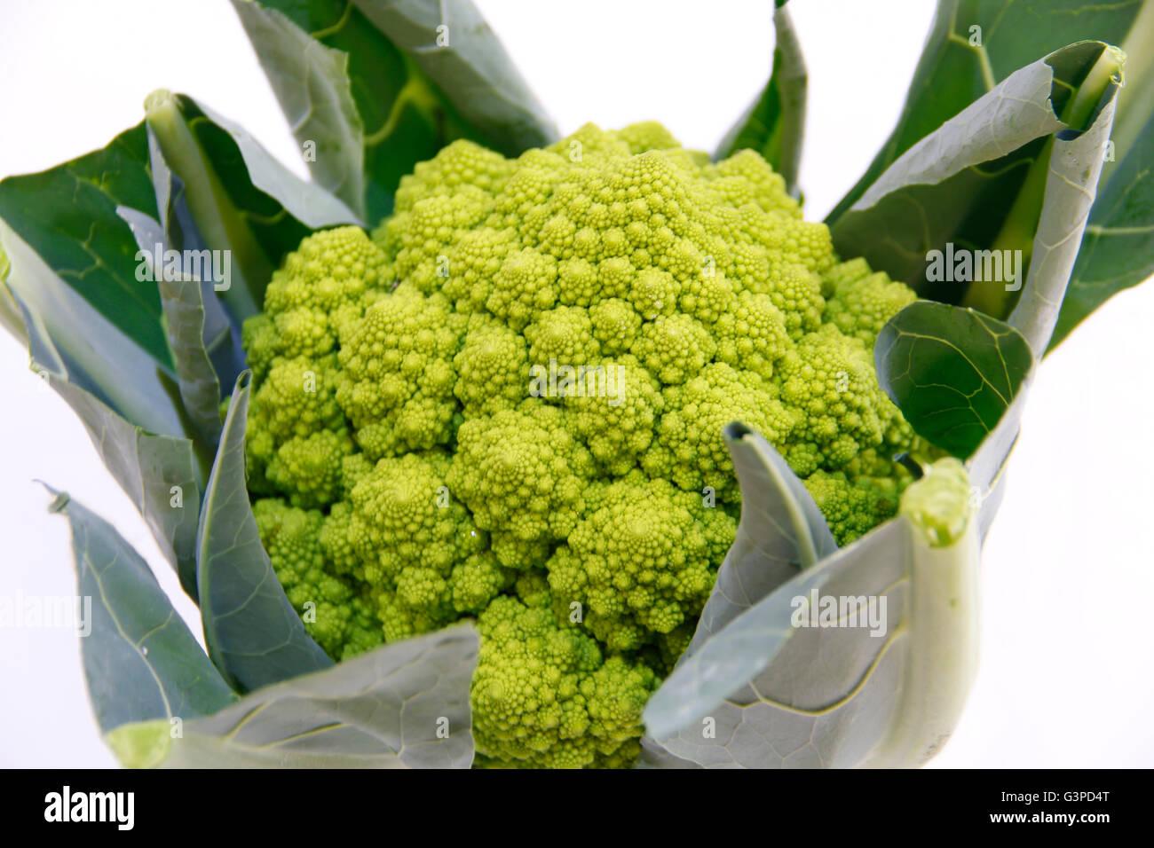 Romanesco Cauliflower Stock Photo
