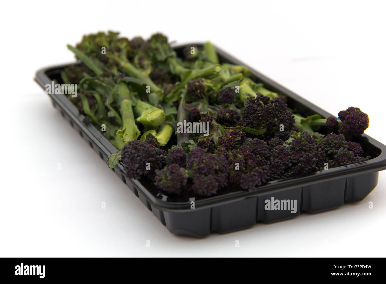 Purple Sprouting Broccoli Stock Photo Alamy