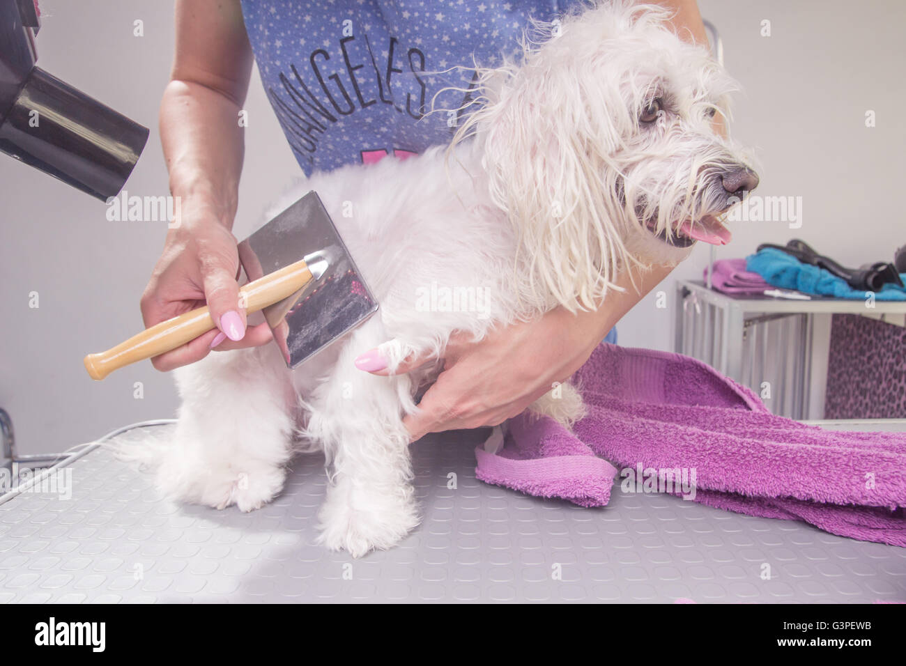 Hair brushing hires stock photography and images Alamy